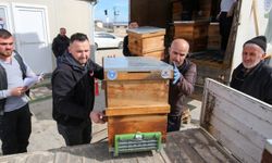 Bursa'da kırsal üretime kovan desteği