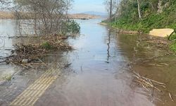 Yaren leyleğin köyü de yükselen göl sularından etkilendi