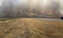 ABD'de orman yangını: 153 bin dönümden fazla alan kül oldu