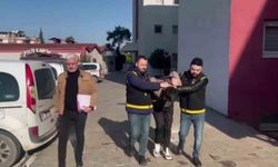 Adana'da 7 hırsızlık olayına karışan şüpheli yakalandı, 'Pişmanım' dedi