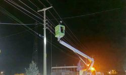 Alaca'da kamyon, elektrik ve telefon hatlarına zarar verdi