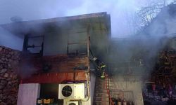 Alanya'da piknik işletmesinde yangın korkuttu