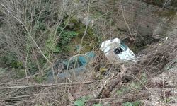 Alaplı'da kamyon şarampole uçtu