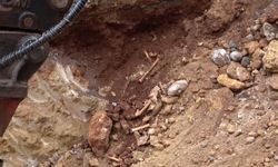 Antalya'da belediye kazısında kemik parçaları bulundu