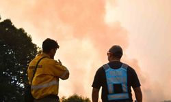 Arjantin'deki orman yangınlarında 50 bin hektarlık alan kül oldu