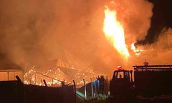 Bağ evinde çıkan yangın diğer bağ evine de sıçradı