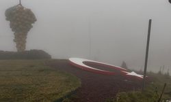 Besni'de yoğun sis hayatı olumsuz etkiledi