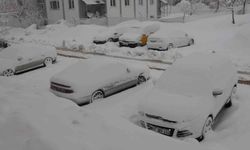 Bitlis'te 165 köy yolu kardan kapandı