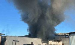 Bodrum'da işçilerin kaldığı konteyner alevlere teslim oldu