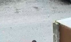 Boşanma aşamasında olduğu eşinin sevgilisine sokakta bıçakla saldırdı