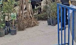 Bursa'da seyyar satıcılardan zabıtaya bıçaklı saldırı, 1 zabıta yaralandı