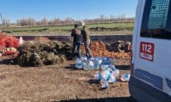 Çorum'da 180 litre kaçak alkol imha edildi