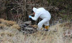 Çorum'da kan donduran cinayet: 6 gündür aranan yaşlı adamın cesedi parçalanmış halde bulundu