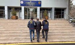 Diyarbakır'da haklarında kesinleşmiş hapis cezası bulunan 113 kişi yakalandı