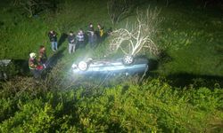 Domuza çarpan otomobil uçuruma yuvarlandı