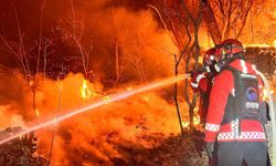Güney Kore'de orman yangını: 200 futbol sahası büyüklüğünde alan küle döndü