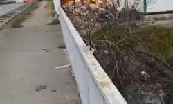 Hopa'da şantiyede çıkan yangın korkuttu