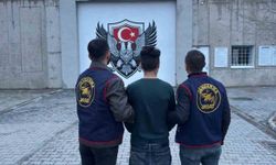 Iğdır'da 14 yıl hapis cezası bulunan şahıs yakalandı