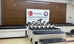 İstanbul'da son 1 buçuk ayda 202 şüpheli yakalandı