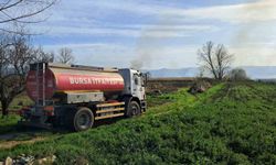 İznik'te rüzgarla birlikte sazlık yangını büyüyor