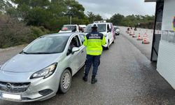 Jandarma denetimlerinde çeşitli suçlardan aranan 35 şahıs tutuklandı