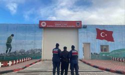 Jandarma hapis cezasıyla aranan şahsı yakaladı