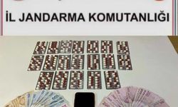 Jandarmadan uyuşturucu operasyonu: 1 tutuklama