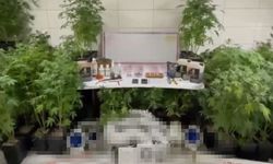 Jandarmadan uyuşturucu operasyonu: Evde üretim düzeneği kurmuş