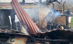 Karabük'te müştemilat yangını: 2 köpek yavrusu telef oldu