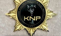 Kars'ta aparta uyuşturucu operasyonu
