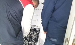 Kırklareli'nde su ürünleri denetiminde 110 koli istavrite cezai işlem