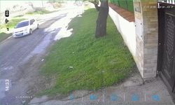 Köpeği çalınan vatandaştan hırsıza çağrı