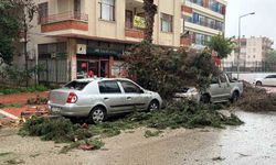 Mersin'de fırtına ve sağanak hayatı olumsuz etkiledi