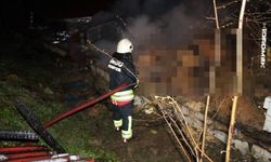 Ordu'da ahır yangını: 27 büyükbaş hayvan telef oldu