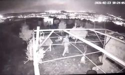 Osmaniye'de hobi bahçesine giren hırsızlar 25 güvercini çaldı