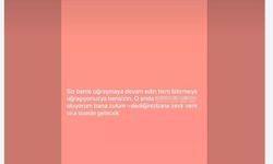 Otomobilde işlenen cinayetle ilgili 2 tutuklama