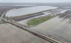 Sağanak yağmurdan sonra binlerce dönüm tarım arazisi sular altında kaldı