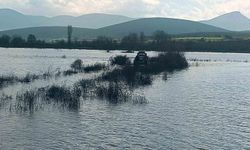 Sakarya Nehri üzerindeki adacıkta balık tutmak isteyen 2 kişi mahsur kaldı
