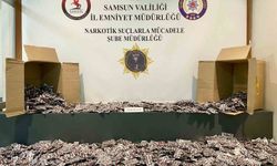 Samsun'da 80 bin uyuşturucu hap ele geçirildi