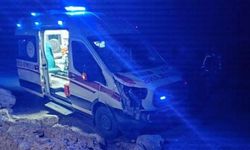 Siirt'te hasta taşıyan ambulans ata çarptı