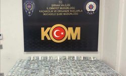 Şırnak'ta asayiş, narkotik ve kaçakçılık operasyonlarında 10 tutuklama