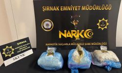 Şırnak'ta asayiş, narkotik ve kaçakçılık operasyonlarında 4 tutuklama