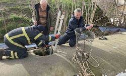 Su deposuna düşen yavru köpek 6 saat sonra kurtarıldı