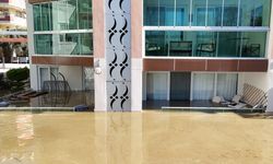 Taşan çaydaki işletme yıkıldı, sulara kapılmak üzere olan bir köpek son anda kurtarıldı