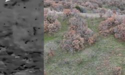 Termal drone destekli denetimde 2 kaçak avcı yakalandı
