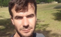 Tomruk biçme makinesinin üstüne düşen işçi hayatını kaybetti