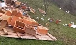 Türkeli'de fırtına arıcılığı vurdu: Onlarca kovan zarar gördü
