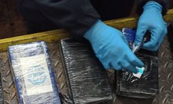 Türkiye'ye kokain sokmak isteyen Bulgar polis memuru sınırda yakalandı