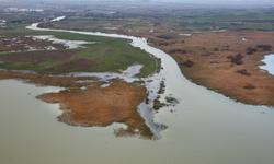 Uluabat tehdit altında, Burdur Gölü kuruyor: Z Doğa'dan sulak alanlar için çağrı