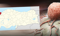 Türkiye’nin kanser haritası açıklandı
